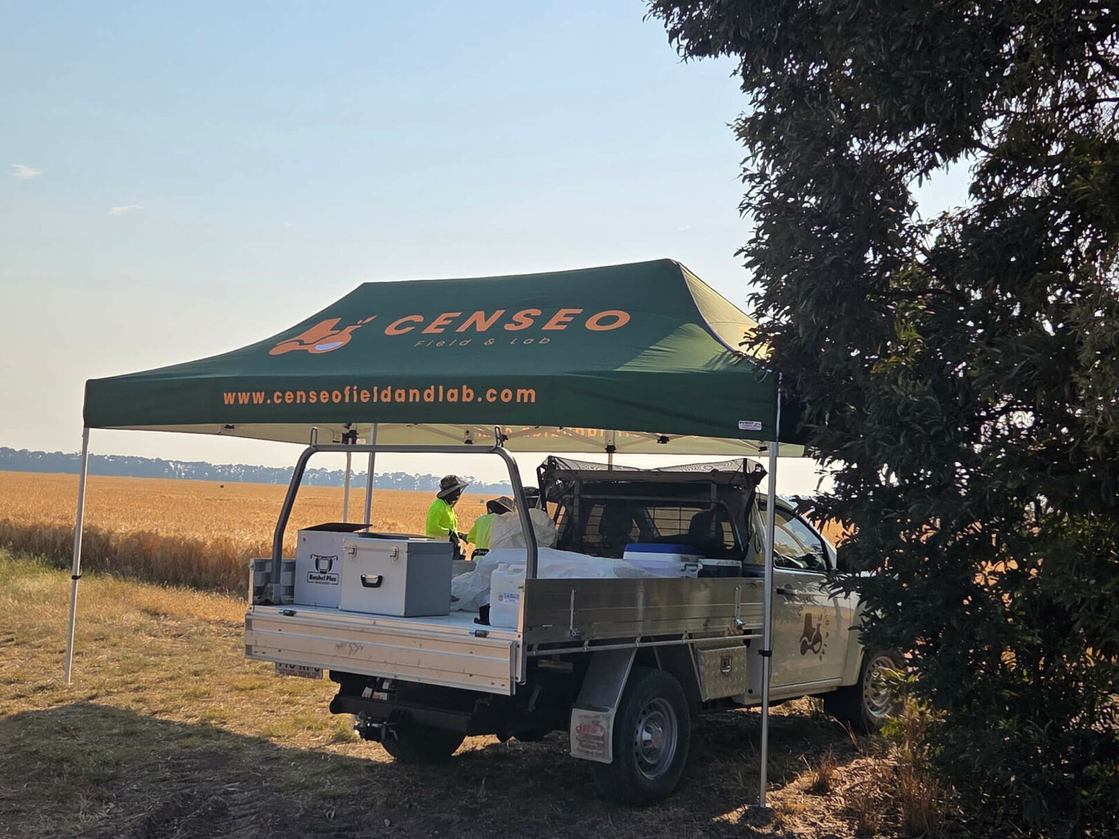 Censeo field team marquee set up at a crop trial site